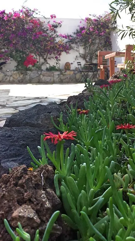 Hotel Casa Esmeralda Tenerife San Isidro  San Isidro (Tenerife)